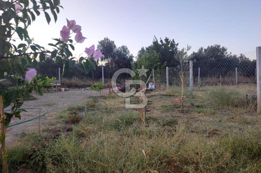 Kavakdere'de 243m2 Resmi Tapulu Bahçe-Elektrik & Su Hazır