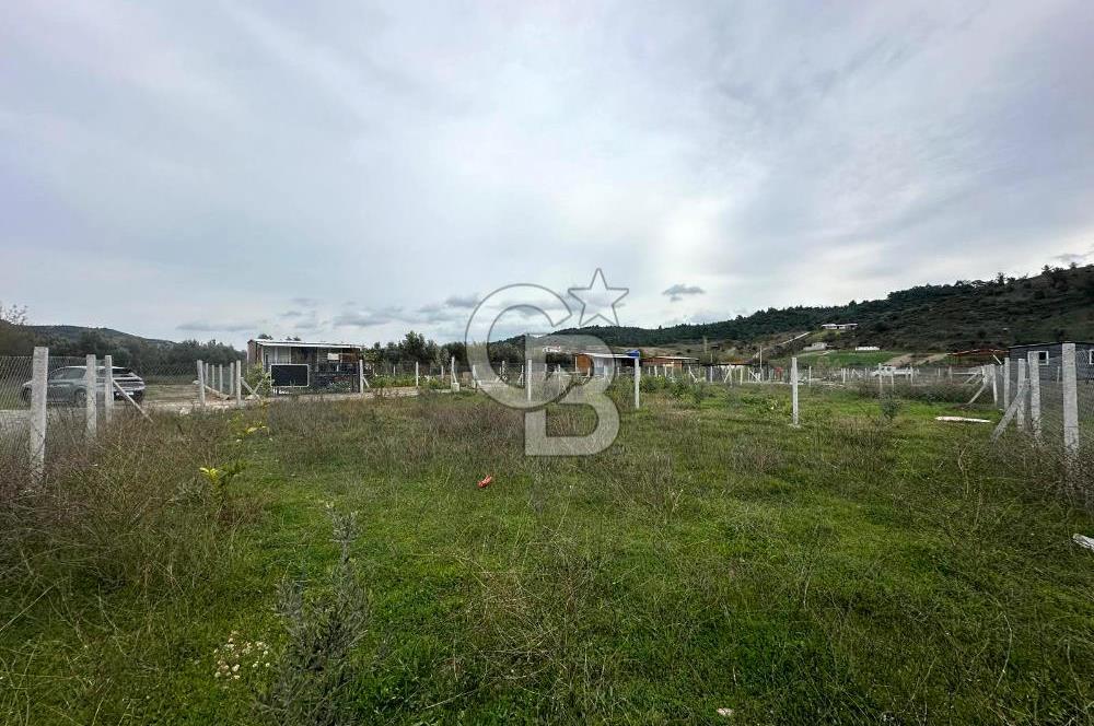 Kavakdere'de 243m2 Resmi Tapulu Bahçe-Elektrik & Su Hazır