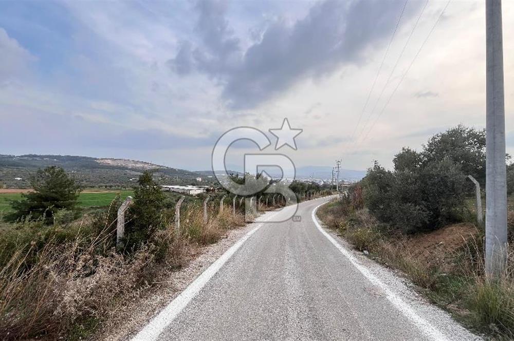 Torbalı Yazıbaşı'nda Satılık 483 m² Villa İmarlı Arsa