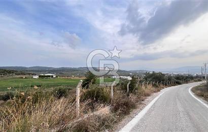 Torbalı Yazıbaşı'nda Satılık 483 m² Villa İmarlı Arsa