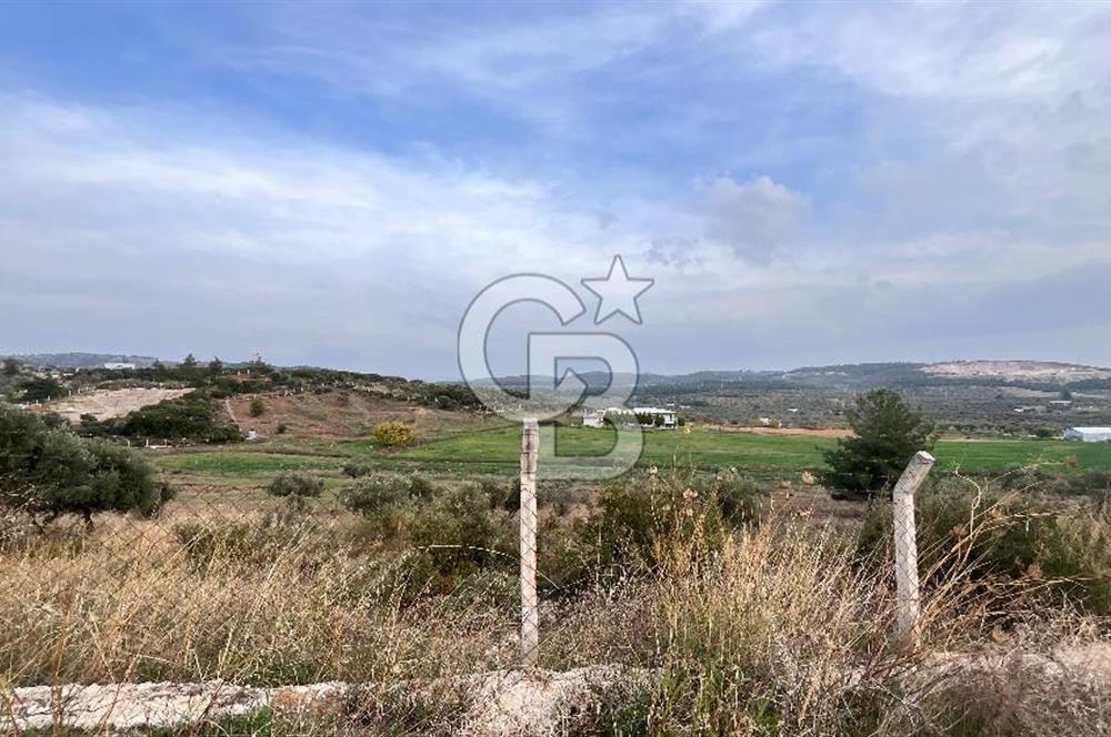 Torbalı Yazıbaşı'nda Satılık 483 m² Villa İmarlı Arsa