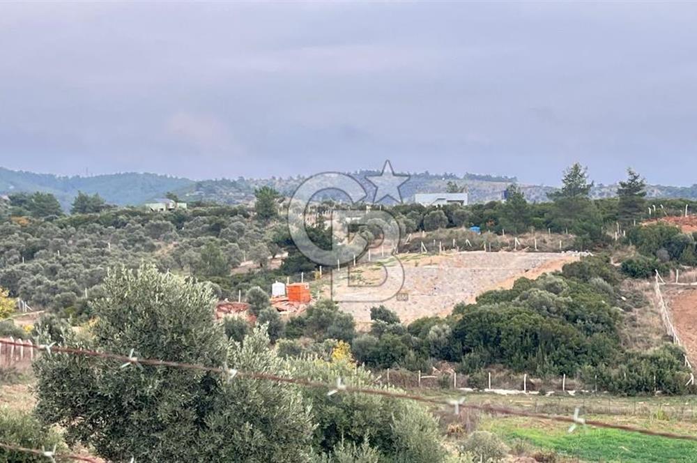 Torbalı Yazıbaşı'nda Satılık 483 m² Villa İmarlı Arsa