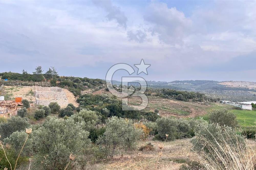 Torbalı Yazıbaşı'nda Satılık 483 m² Villa İmarlı Arsa