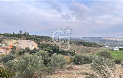 Torbalı Yazıbaşı'nda Satılık 483 m² Villa İmarlı Arsa