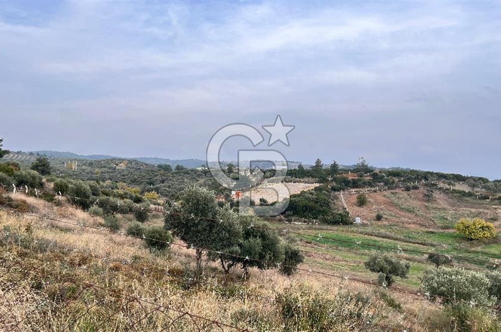 Torbalı Yazıbaşı'nda Satılık 483 m² Villa İmarlı Arsa