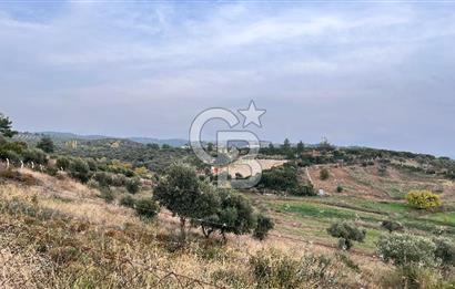 Torbalı Yazıbaşı'nda Satılık 483 m² Villa İmarlı Arsa