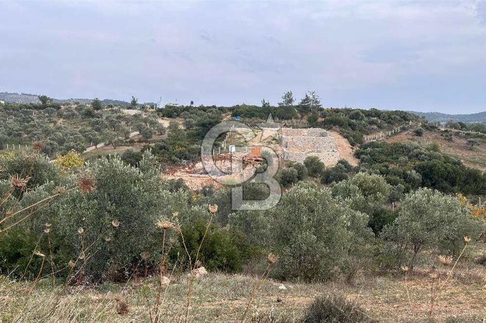 Torbalı Yazıbaşı'nda Satılık 483 m² Villa İmarlı Arsa