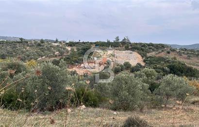 Torbalı Yazıbaşı'nda Satılık 483 m² Villa İmarlı Arsa