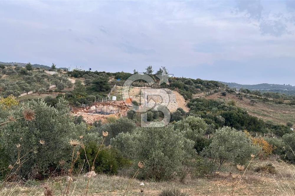 Torbalı Yazıbaşı'nda Satılık 483 m² Villa İmarlı Arsa