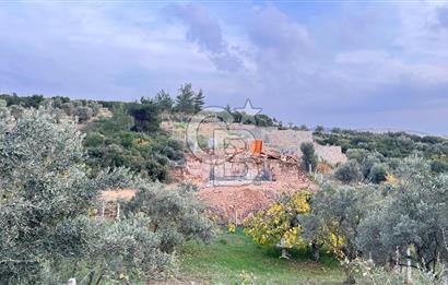 Torbalı Yazıbaşı'nda Satılık 483 m² Villa İmarlı Arsa