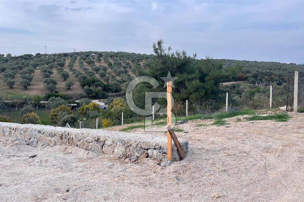 Torbalı Yazıbaşı'nda Satılık 483 m² Villa İmarlı Arsa