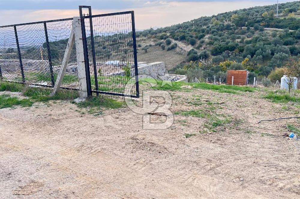 Torbalı Yazıbaşı'nda Satılık 483 m² Villa İmarlı Arsa