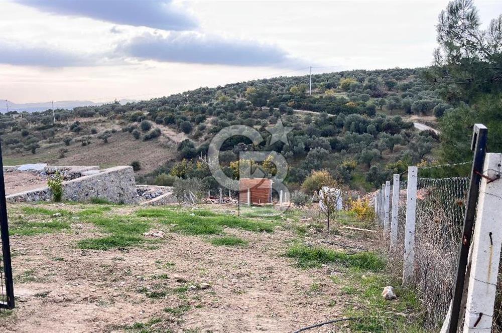 Torbalı Yazıbaşı'nda Satılık 483 m² Villa İmarlı Arsa