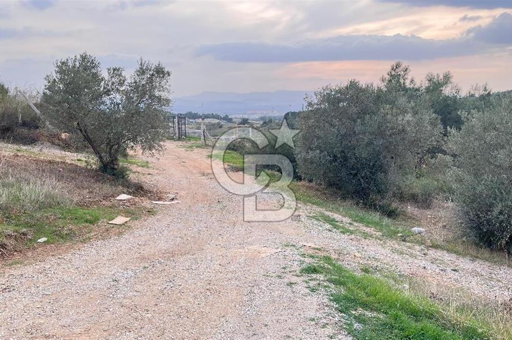 Torbalı Yazıbaşı'nda Satılık 483 m² Villa İmarlı Arsa