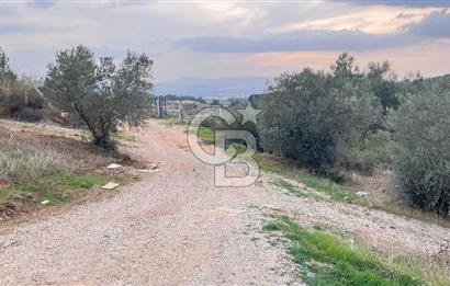 Torbalı Yazıbaşı'nda Satılık 483 m² Villa İmarlı Arsa