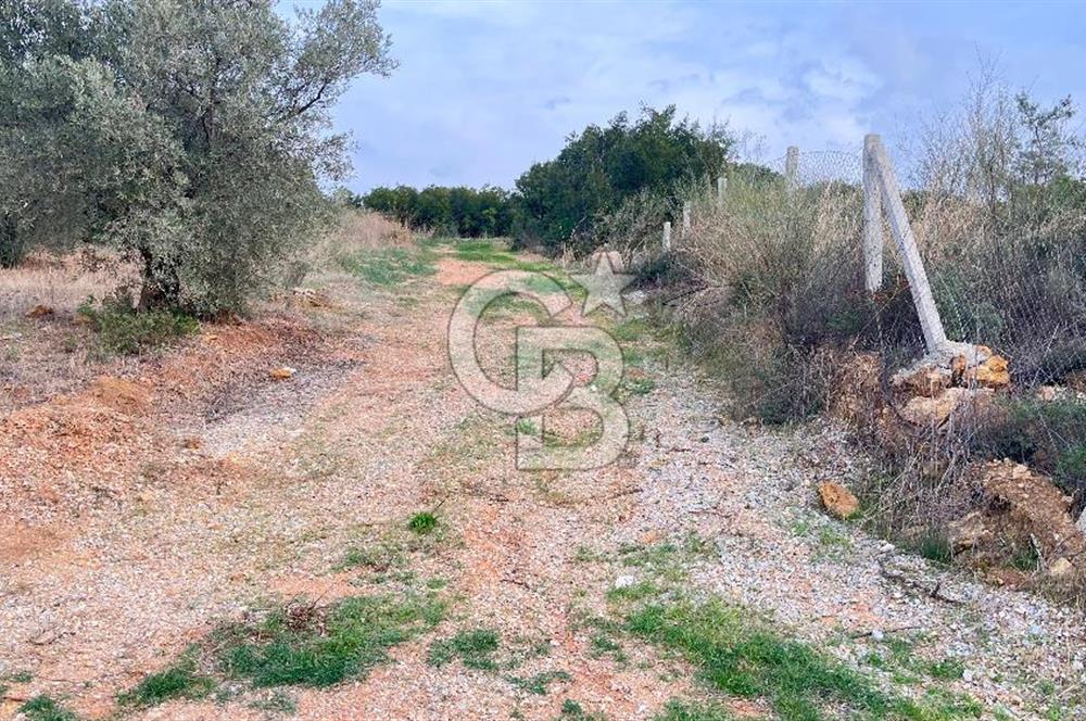 Torbalı Yazıbaşı'nda Satılık 483 m² Villa İmarlı Arsa