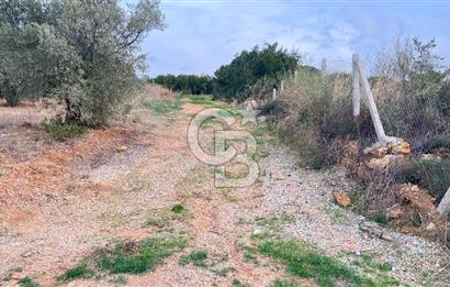 Torbalı Yazıbaşı'nda Satılık 483 m² Villa İmarlı Arsa