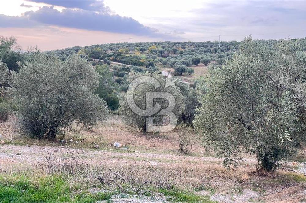 Torbalı Yazıbaşı'nda Satılık 483 m² Villa İmarlı Arsa