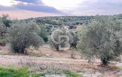 Torbalı Yazıbaşı'nda Satılık 483 m² Villa İmarlı Arsa