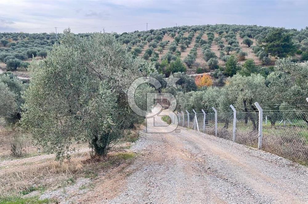 Torbalı Yazıbaşı'nda Satılık 483 m² Villa İmarlı Arsa