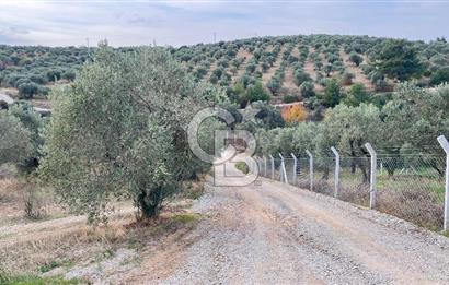 Torbalı Yazıbaşı'nda Satılık 483 m² Villa İmarlı Arsa