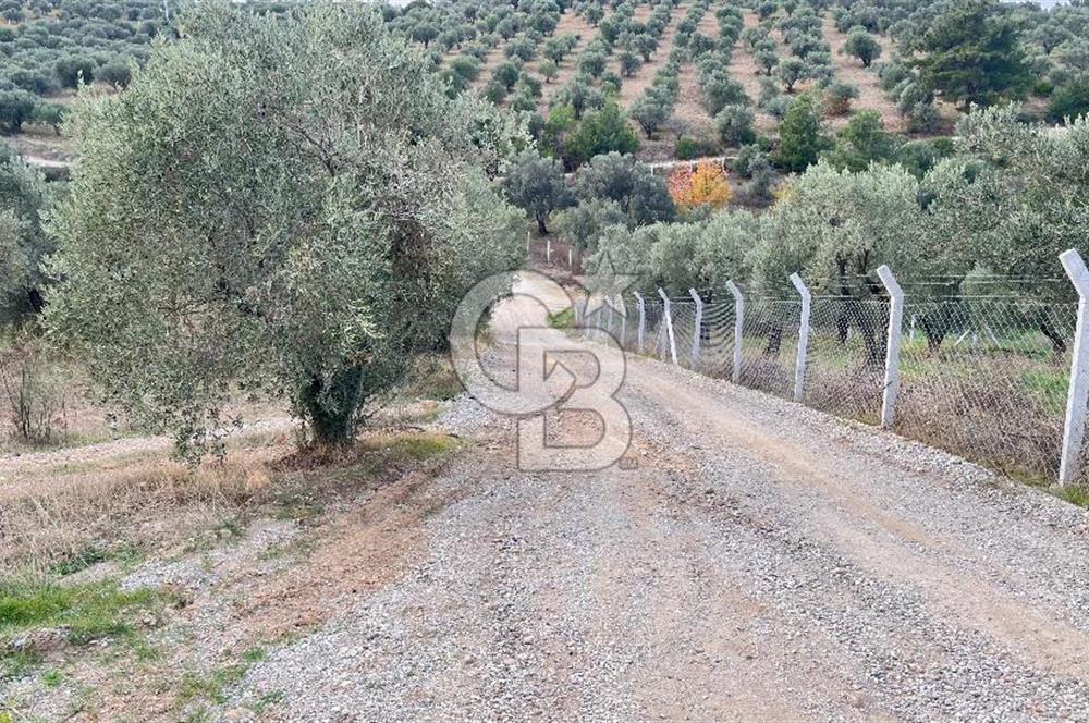 Torbalı Yazıbaşı'nda Satılık 483 m² Villa İmarlı Arsa