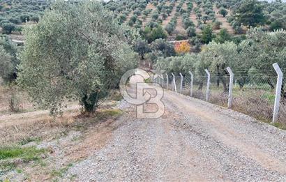 Torbalı Yazıbaşı'nda Satılık 483 m² Villa İmarlı Arsa