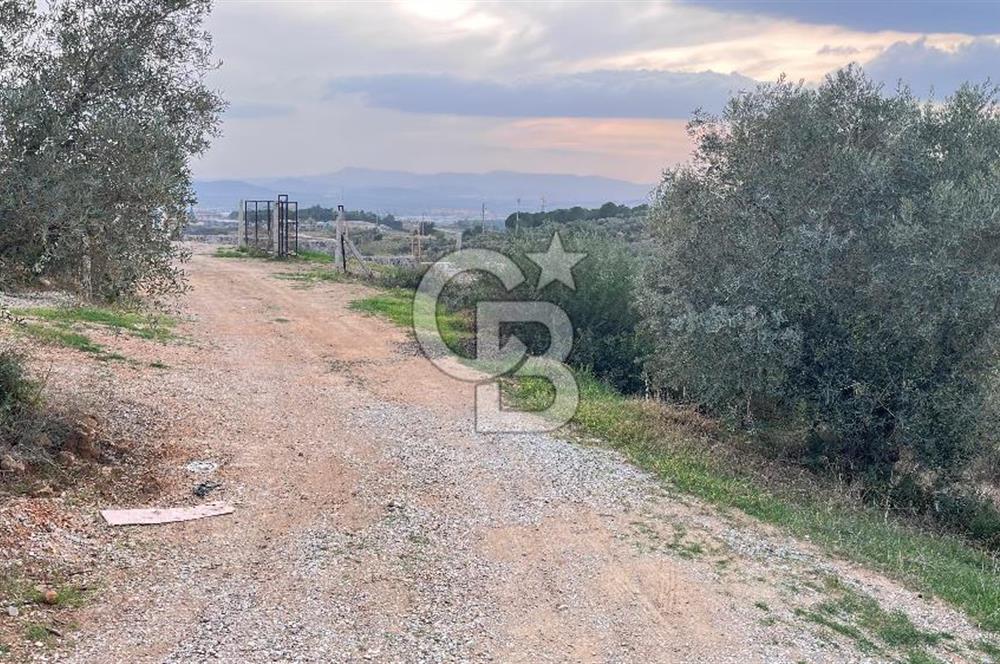 Torbalı Yazıbaşı'nda Satılık 483 m² Villa İmarlı Arsa