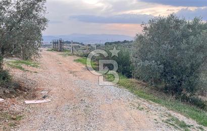 Torbalı Yazıbaşı'nda Satılık 483 m² Villa İmarlı Arsa