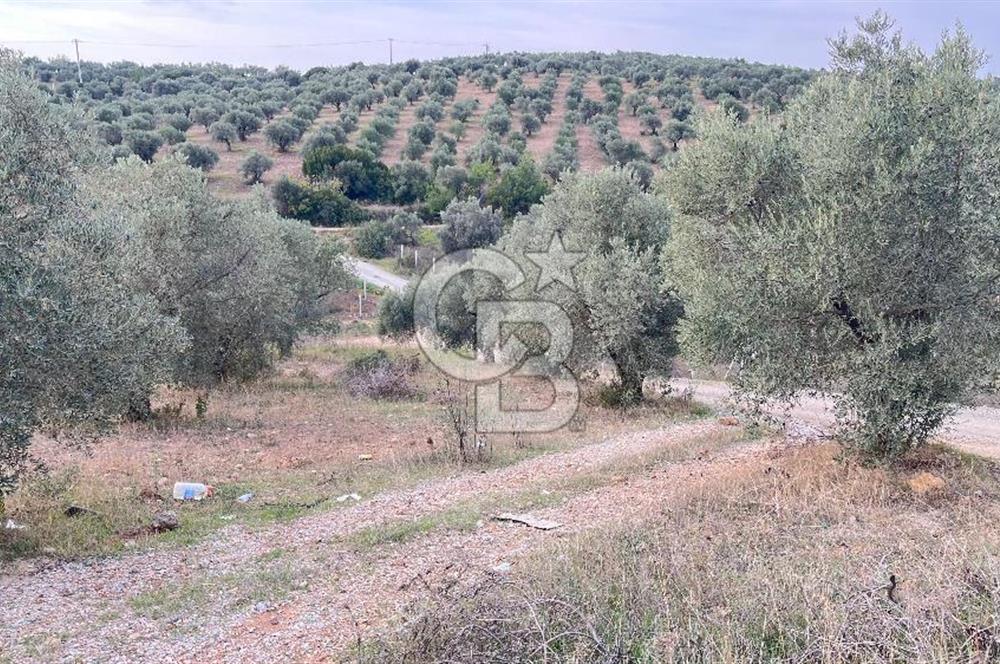 Torbalı Yazıbaşı'nda Satılık 483 m² Villa İmarlı Arsa