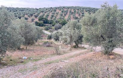 Torbalı Yazıbaşı'nda Satılık 483 m² Villa İmarlı Arsa