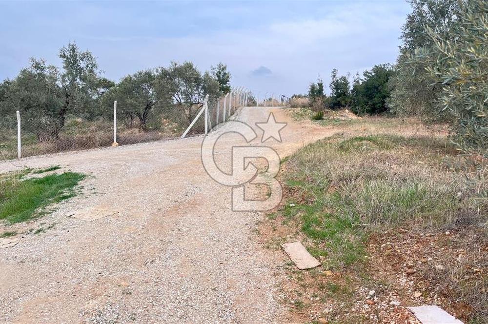 Torbalı Yazıbaşı'nda Satılık 483 m² Villa İmarlı Arsa