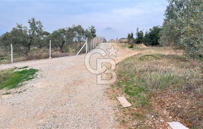 Torbalı Yazıbaşı'nda Satılık 483 m² Villa İmarlı Arsa