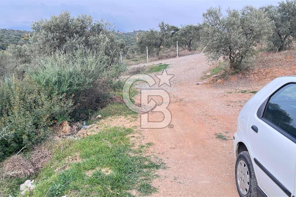 Torbalı Yazıbaşı'nda Satılık 483 m² Villa İmarlı Arsa