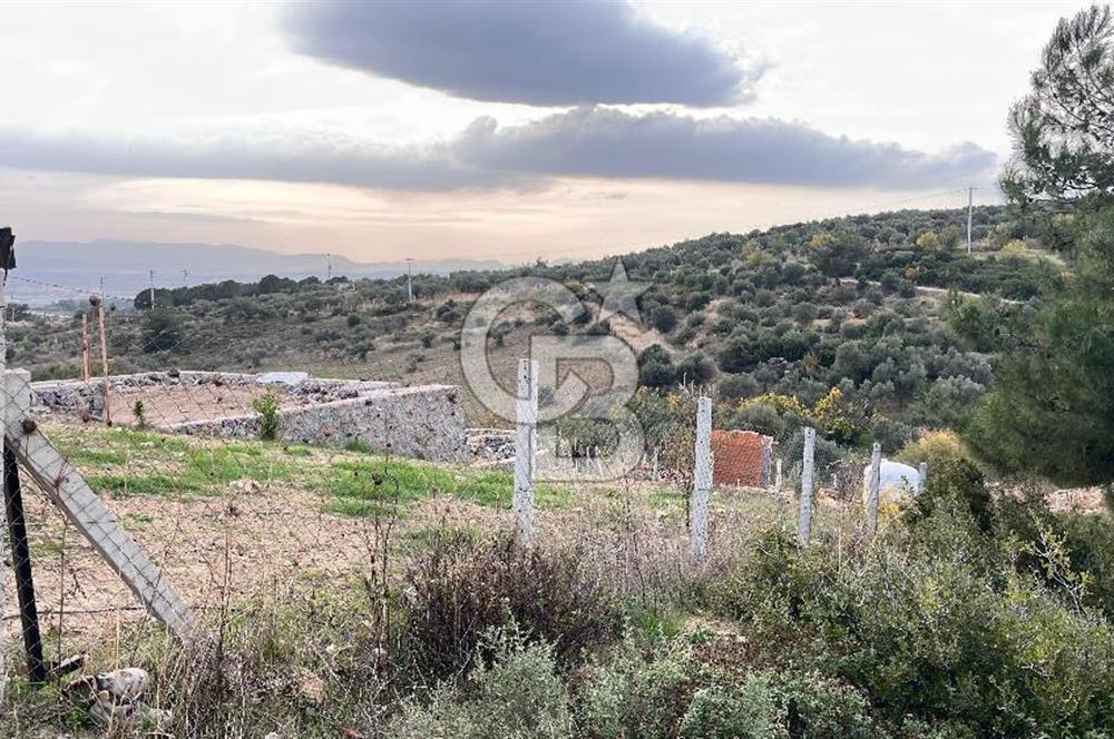 Torbalı Yazıbaşı'nda Satılık 483 m² Villa İmarlı Arsa