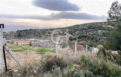 Torbalı Yazıbaşı'nda Satılık 483 m² Villa İmarlı Arsa