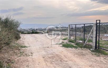 Torbalı Yazıbaşı'nda Satılık 483 m² Villa İmarlı Arsa