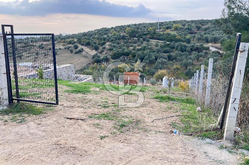 Torbalı Yazıbaşı'nda Satılık 483 m² Villa İmarlı Arsa