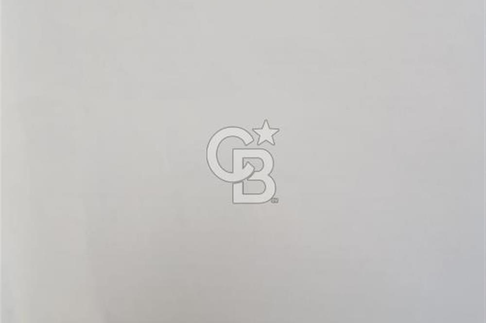 Bayındır / Kızıloba Satılık Köy İçi İmarlı Uygun Zeytinlik