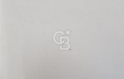 Bayındır / Kızıloba Satılık Köy İçi İmarlı Uygun Zeytinlik