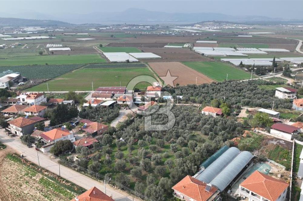 İzmir menderes çileme köyünde satılık arsa