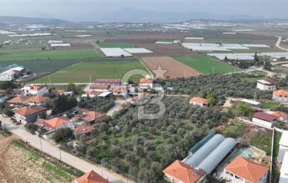 İzmir menderes çileme köyünde satılık arsa