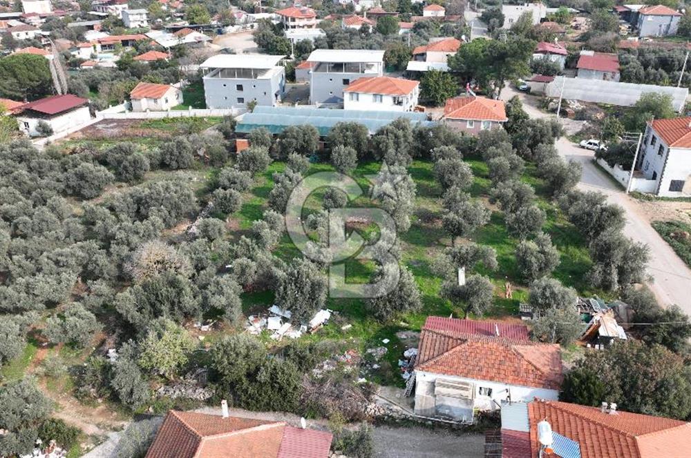 İzmir menderes çileme köyünde satılık arsa
