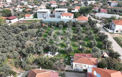 İzmir menderes çileme köyünde satılık arsa