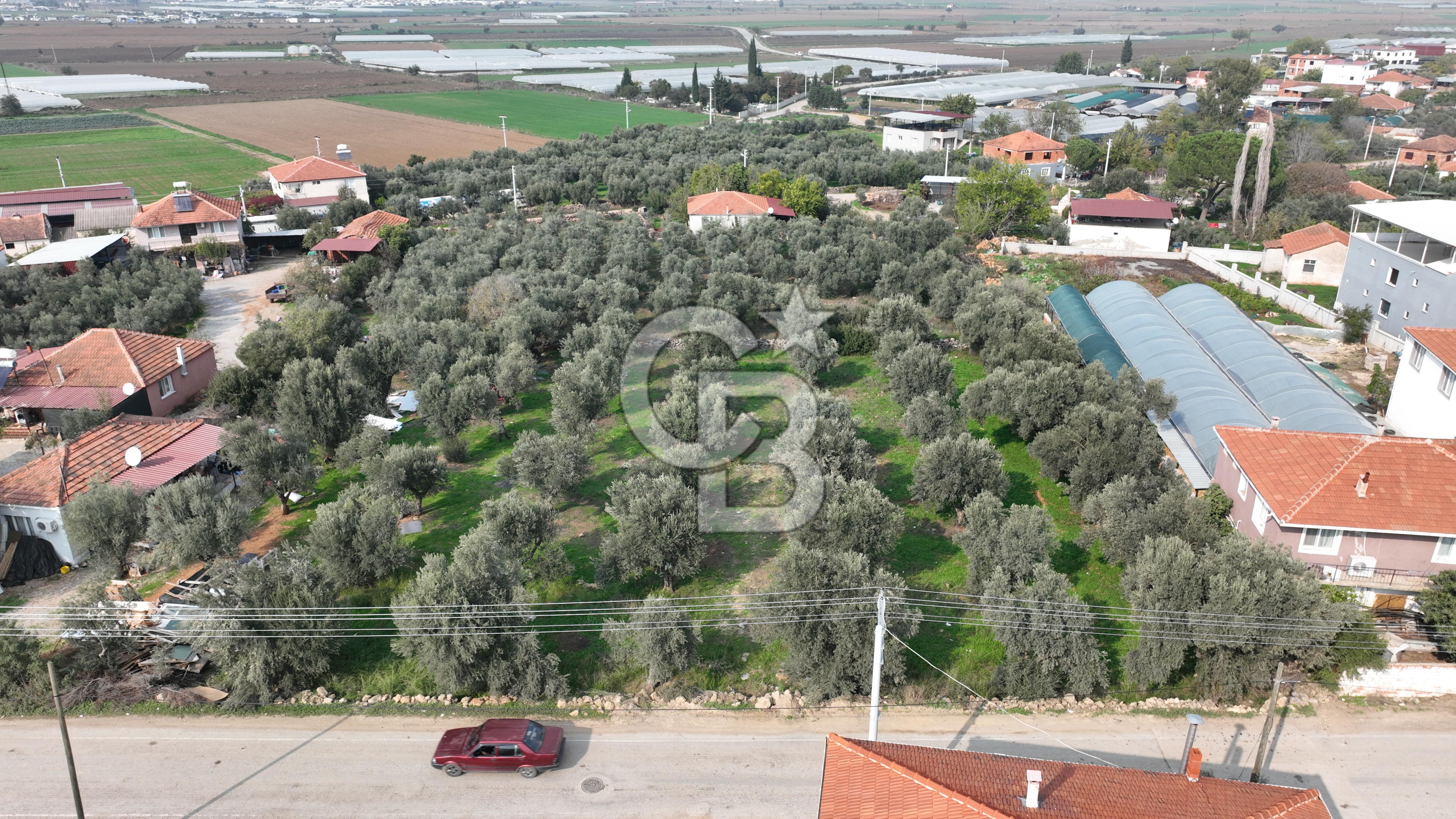 İzmir menderes çileme köyünde satılık arsa