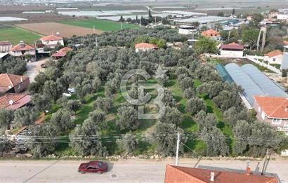 İzmir menderes çileme köyünde satılık arsa