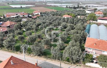 İzmir menderes çileme köyünde satılık arsa