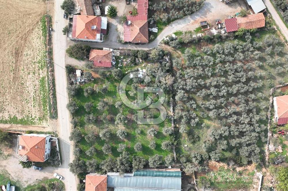 İzmir menderes çileme köyünde satılık arsa