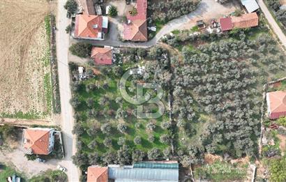 İzmir menderes çileme köyünde satılık arsa