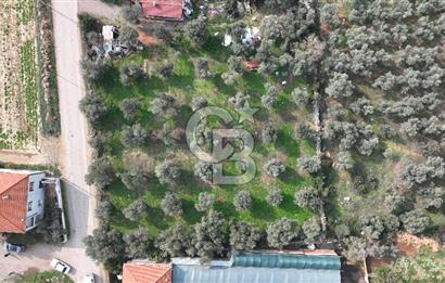 İzmir menderes çileme köyünde satılık arsa